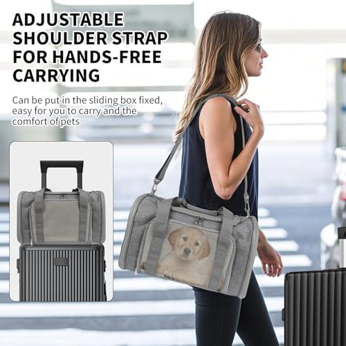 Carriers Soft-Sided Large Pet Carrier