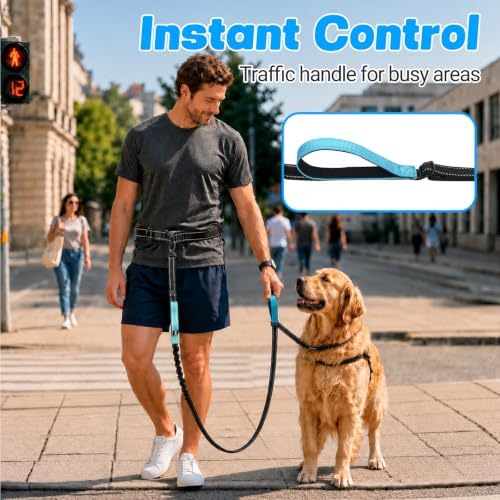 Hands Free Waist Dog Leash, 6-8FT Bungee Leash