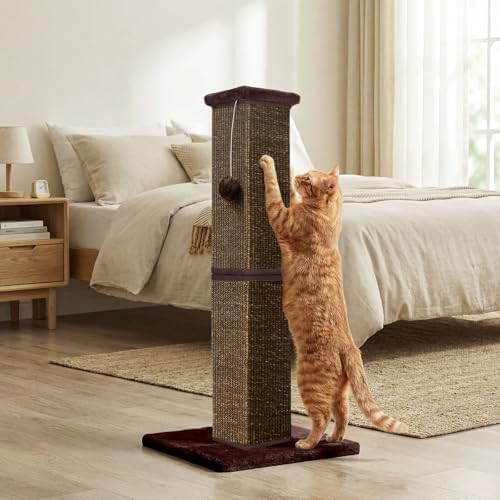 Cat Scratching Post for Indoor Cat, 32 Inch Large Cat Scratcher
