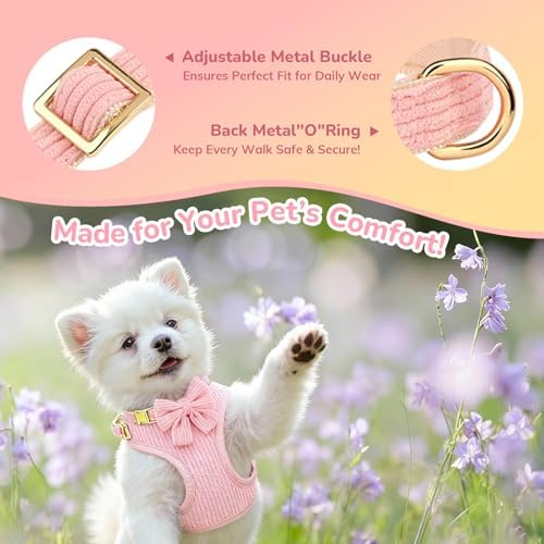 Small Dog Collar Harness and Leash Set, Dog Harness no Pull
