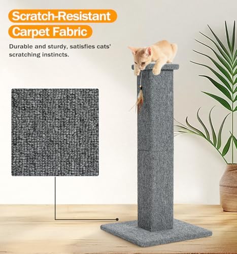 Made4Pets Cat Scratching Post for Indoor Cats, Carpet Cat Scratcher