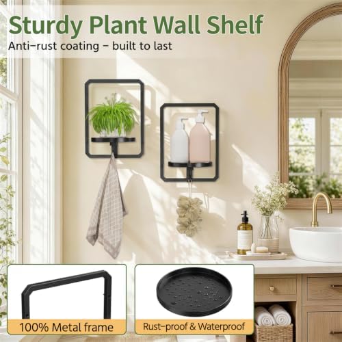 LASZOLA Plant Picture Frame Holder Shelf Wall Window Indoor