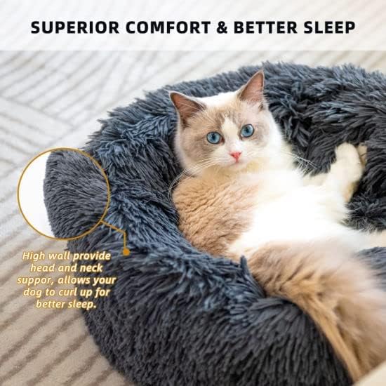 Cat Beds for Indoor Cats