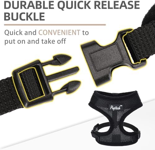 PUPTECK Small Dog Harness and Leash Set No Pull