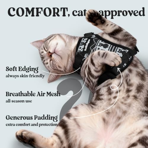 rabbitgoo Cat Harness and Leash Set, Escape Proof Vest, Pixel Tabby