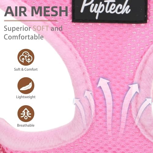 PUPTECK Small Dog Harness and Leash Set No Pull