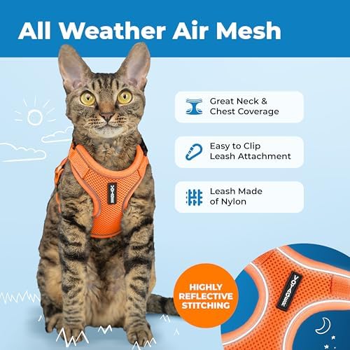 Voyager Escape-Proof Step-in Cat Harness & Leash