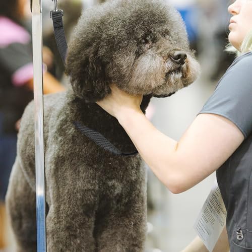 Dog Grooming Loops Belly Straps