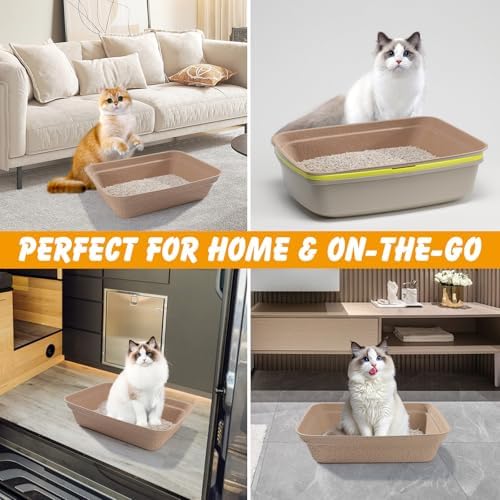 Disposable Cat Litter Box, Large Litter Boxs