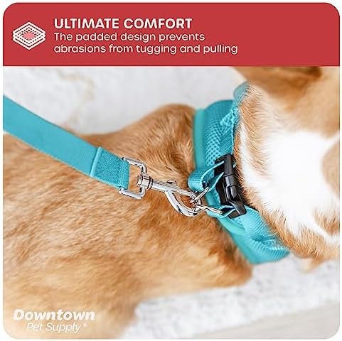 Downtown Pet Supply Step-in Dog Harness – No Pull, Adjustable Padded Mesh