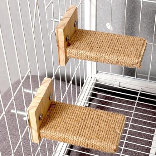 Cat Climbing Steps Scratching Tree