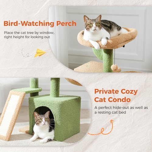 PETEPELA Cactus Cat Tree for Kittens & Small Cats, 32in Cat Tower