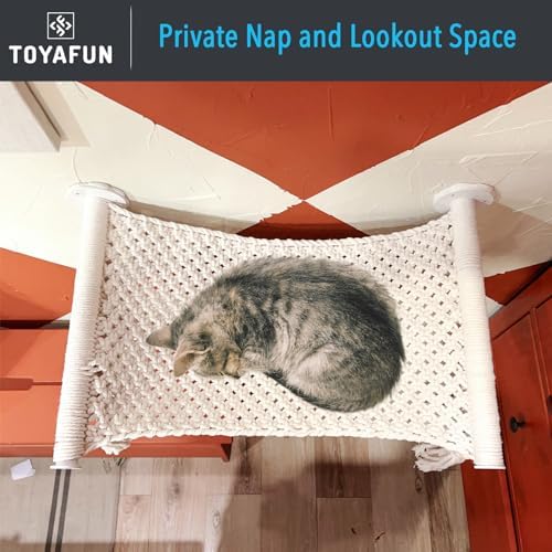 Cat Wall Shelves, Beds