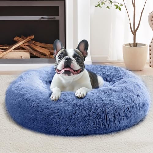 JOLLYVOGUE Calming Dog Bed for Small Dogs