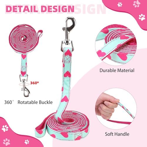 KOOLTAIL Valentines Dog Harness and Leash Set