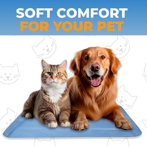 Pet Carrier Pad Insert 2 Pack, Disposable, 19.5 x 12.5 in,