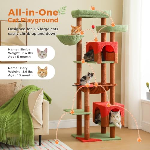 69" Tall Cat Tree for Indoor Cats Large Adult