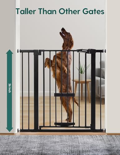 Babelio 36" Tall Dog Gate with Cat Door, CatPrivilege II