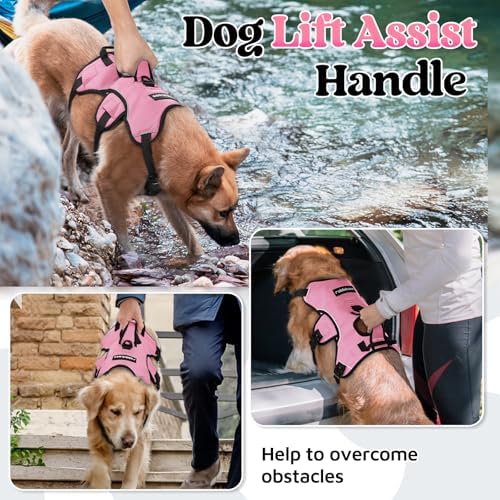 rabbitgoo Escape Proof Dog Harness