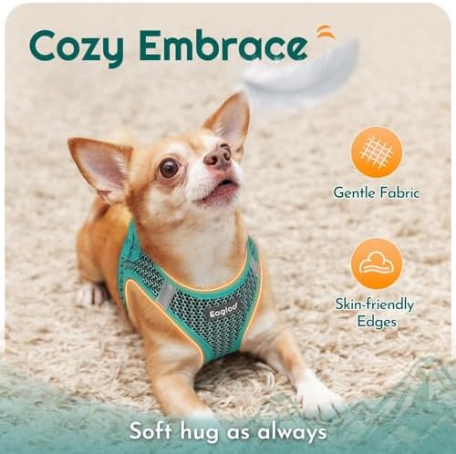 Eagloo Small Dog Harness and Leash Set, Step in Medium Small Puppy Pet Vest
