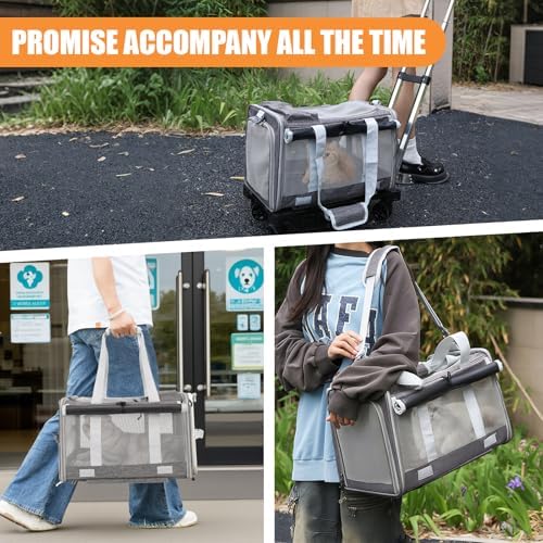 Pet Carrier with Wheels