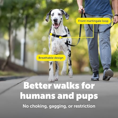 PetSafe Easy Walk Harness, No Pull Dog Harness, Charcoal Gray, Extra Large