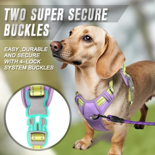 BARKBAY Dog Harness No Pull for Small Sized Dog Front Back Clips, Dog Vest