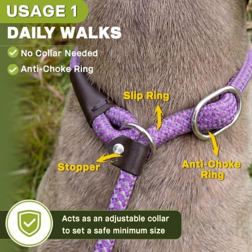 Fida Durable Slip Lead Dog Leash, 6 FT x 1/2" Dog Training Leash