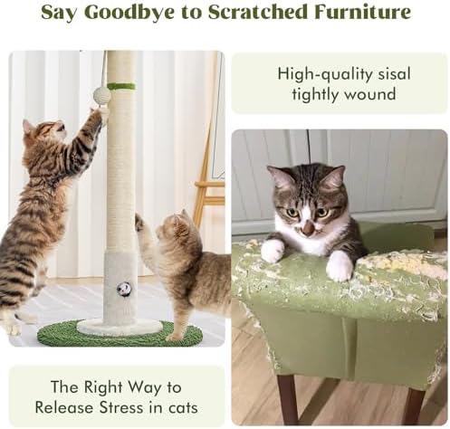 Woochpet Cat Scratching Post for Indoor Cats