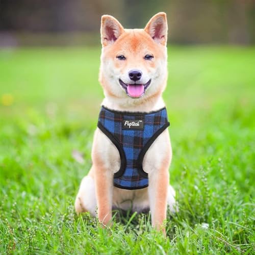 PUPTECK Small Dog Harness and Leash Set No Pull