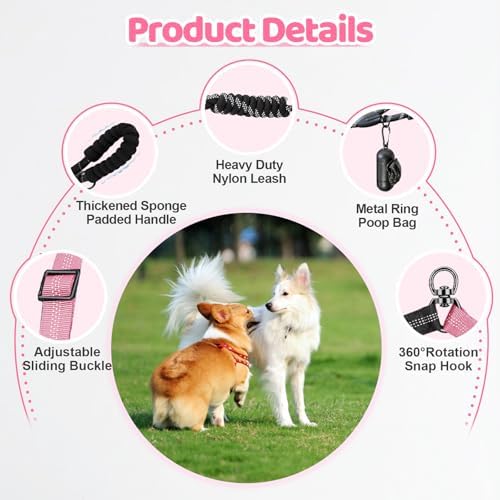 Double Dog Leash