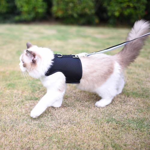 Cat Harness and Leash Set for Walking Escape Proof, Extra Large