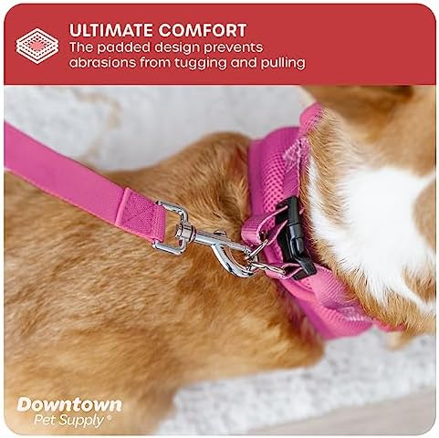 Downtown Pet Supply Step-in Dog Harness – No Pull, Adjustable Padded Mesh