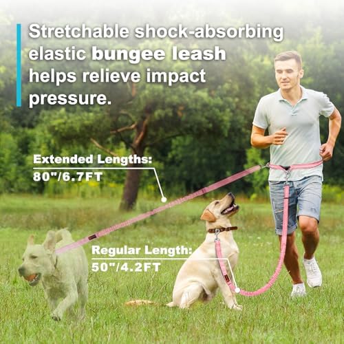 Laqibak Hands Free Dog Leash, Adjustable Waist Leash