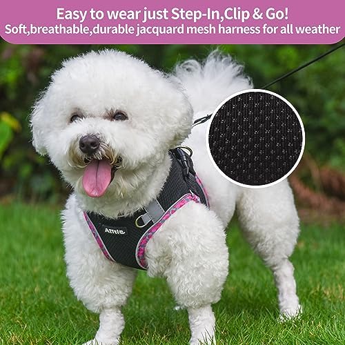 AIITLE Medium Dog Harness and Leash Set
