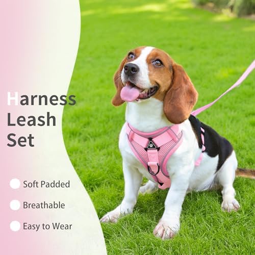 Dog Harness Medium Sized Dog Pet Vest