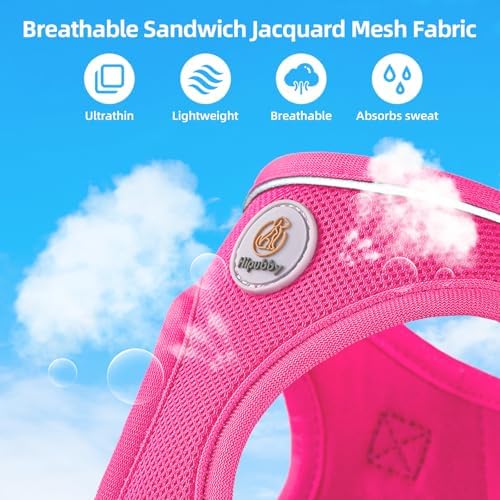 Hipubby Dog Harness and Leash Set, No Pull Soft Mesh Puppy Harness