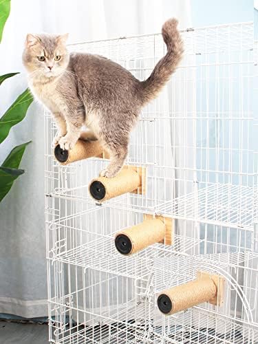 Cat Climbing Steps Scratching Tree