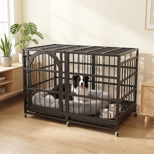 Asee'm 42 Inch Heavy Duty Dog Crate