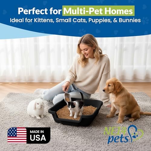 KittyGoHere Senior Cat Litter Box Small