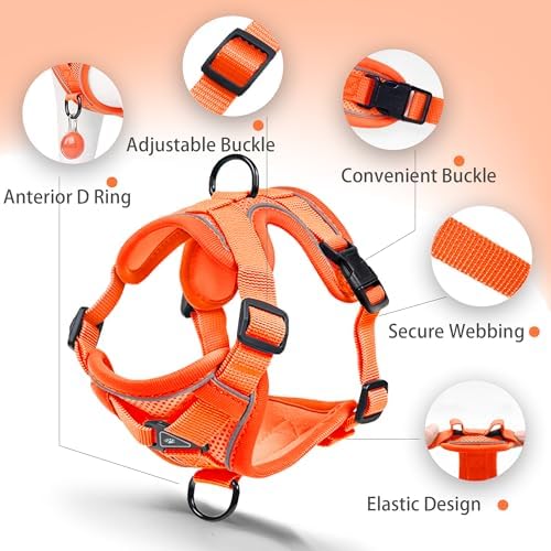 Dog Harness Medium Sized Dog Pet Vest