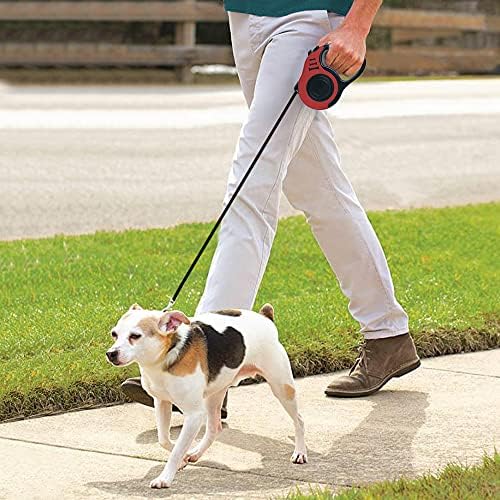 Retractable Dog Leash 10ft, Tangle-Free Expandable Leash