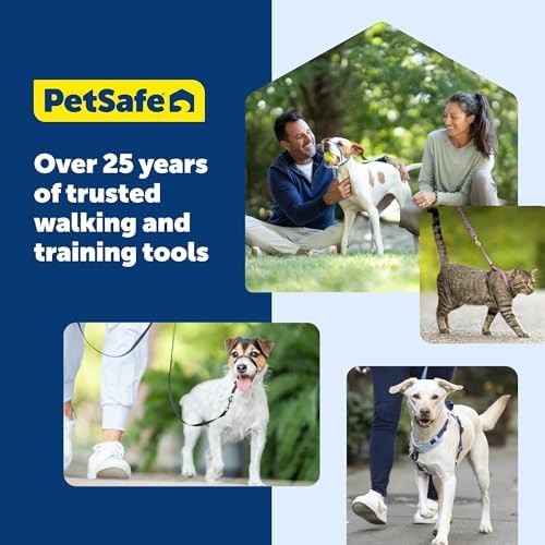PetSafe Nylon Dog Leash