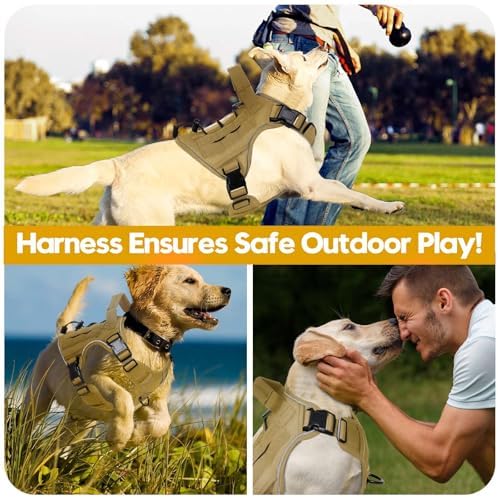 Heavy-Duty Tactical Dog Harness