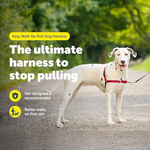 PetSafe Easy Walk Harness
