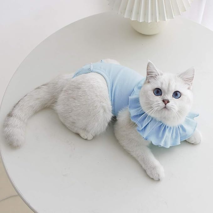 Cat Recovery Suit for Abdominal Wounds and Skin Diseases,Breathable Surgical Recovery Shirt After Surgery Wear Anti Licking Wounds,E-Collar Alternative for Female Cats Kitten(RSC01-blue-m)