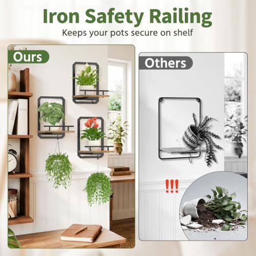 LASZOLA Plant Picture Frame Holder Shelf Wall Window Indoor