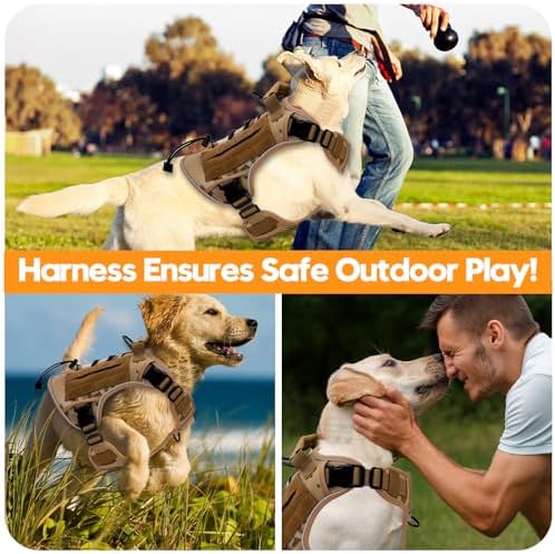Heavy-Duty Tactical Dog Harness