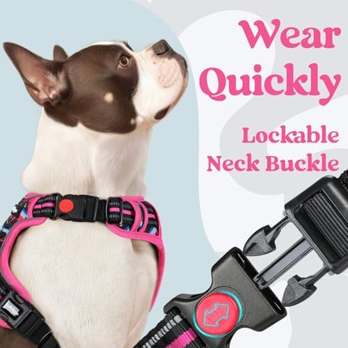 rabbitgoo Dog Harness Small Sized, Updated Easy On & Off