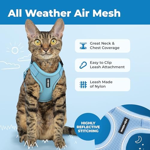 Voyager Escape-Proof Step-in Cat Harness & Leash